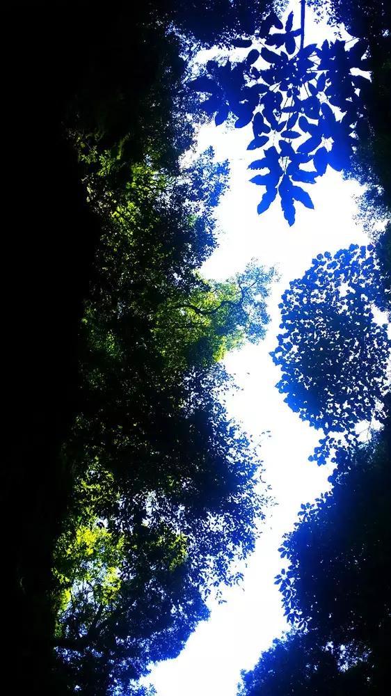 极限竞速7