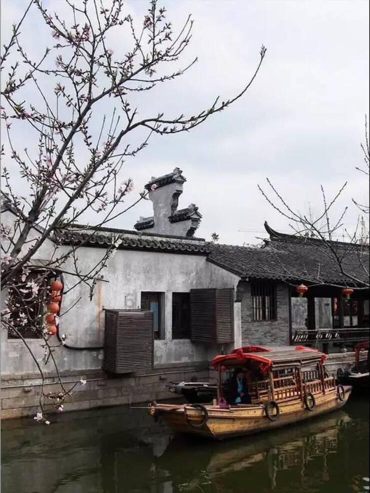玉米喷胺鲜酯乙烯利使用过早能接棒吗？游戏画面